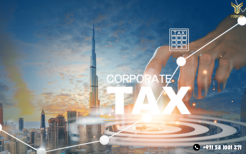 YUGA ERP-Exempt and Taxable persons in UAE